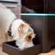 “Robots” aimed at narrowly defined tasks, like keeping pets fed, are finding their niche.